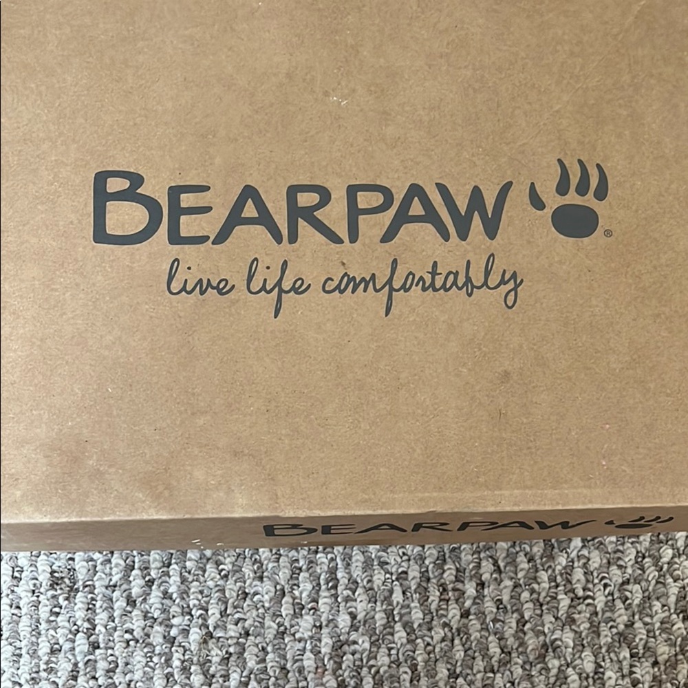 BearPaw Logo Box in Brown
